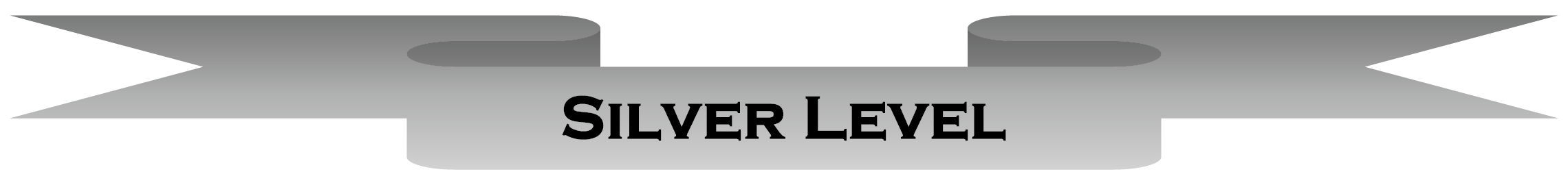 Silver Level
