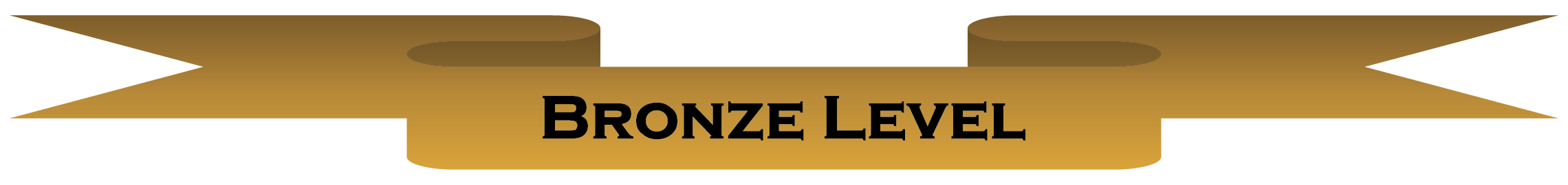 Bronze Level